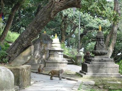 Photos of Swoyambhunath Stupa