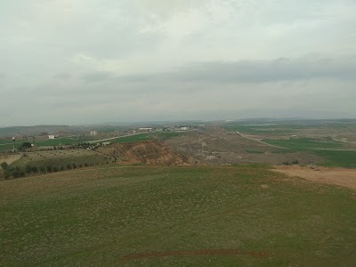 Serev Halı Saha