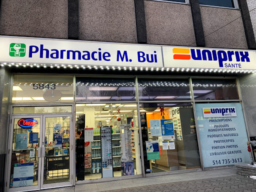 Bui Pharmacy - Visual