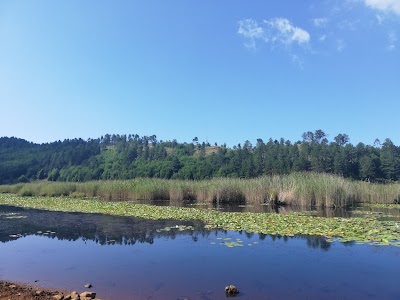 Liqeni i Dushkut