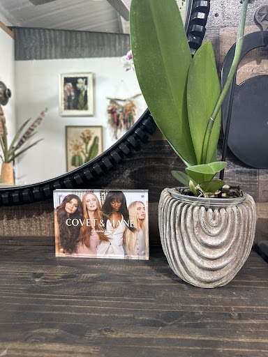 Wild Opal Salon - Thumbnail