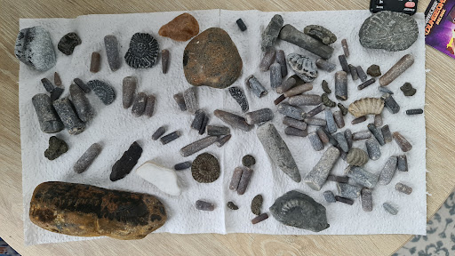 Jurassic Coast Guides - Thumbnail