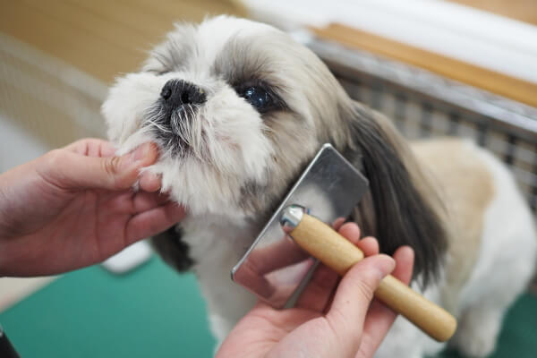 ワンニャンハウス葛西店
