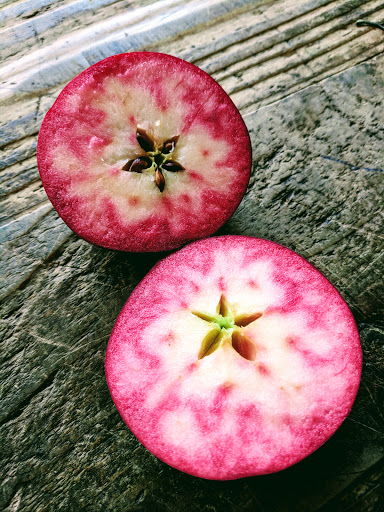 Bramley's Apple - Visual