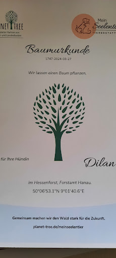 Mein Seelentier Tierbestattung, Inh. Lea Sagehorn - Thumbnail