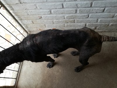 Photos of Veterinaria Servetcop