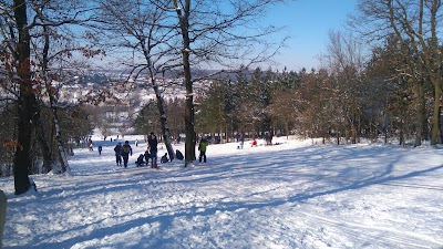 Photos of Ски писта вълчи дол
