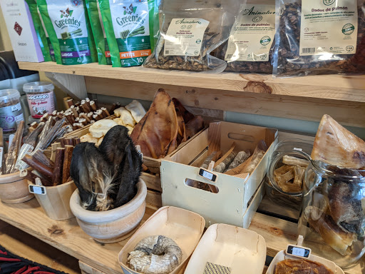 DogWorking Store - Visual