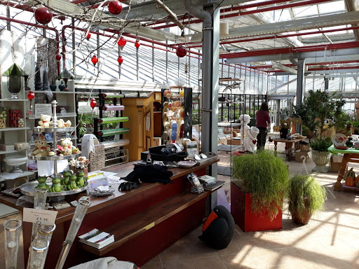 Gartenlotsen GmbH - Thumbnail