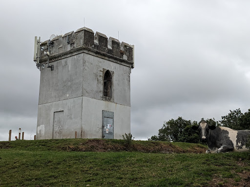 Caernarfon Tower - Visual
