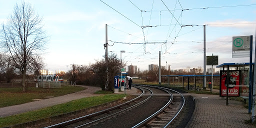 Kiesäcker - Visual