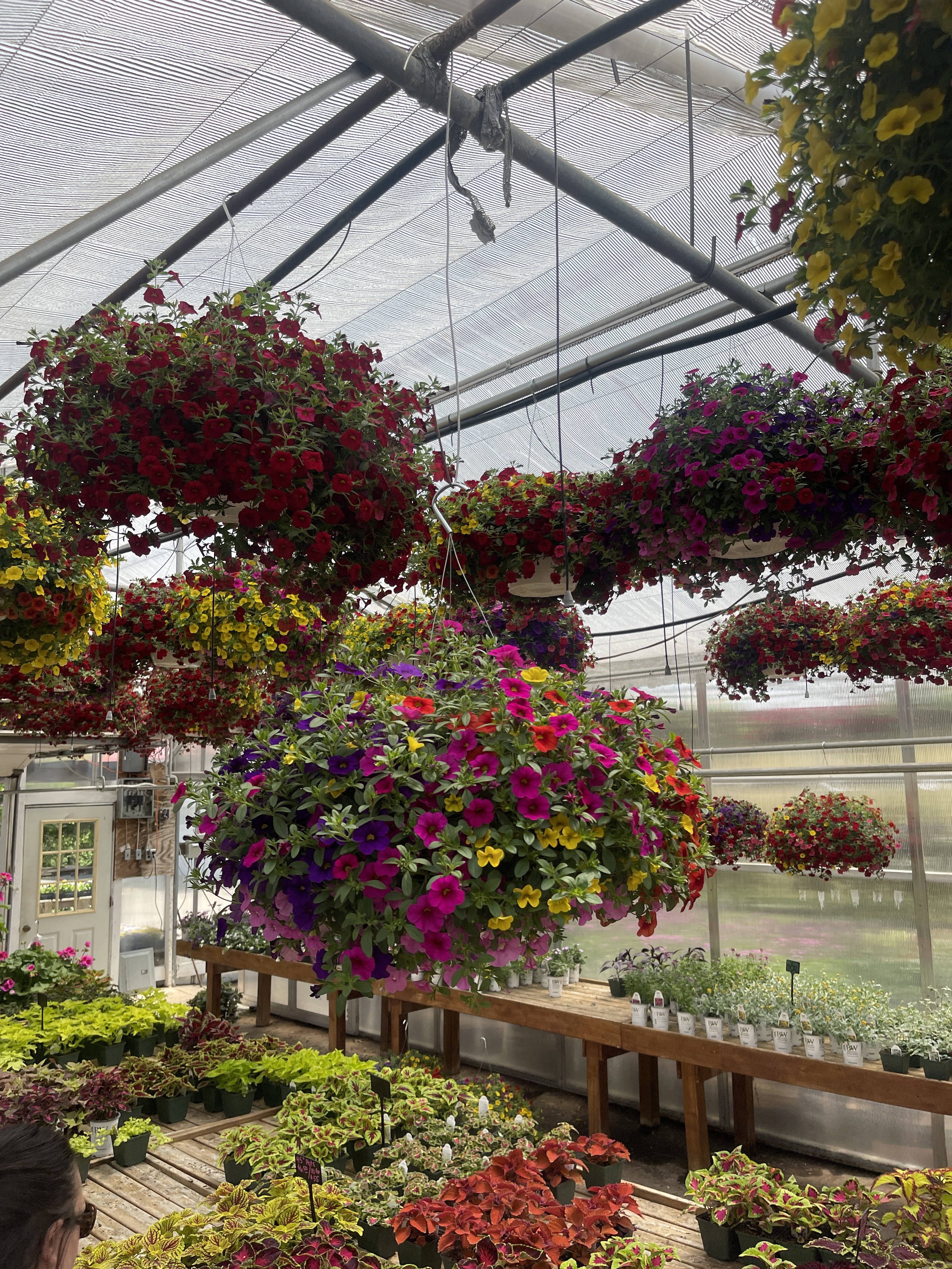 Tebbs Farms & Greenhouses