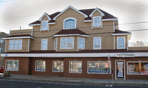 Ventnor Veterinary Office - Thumbnail