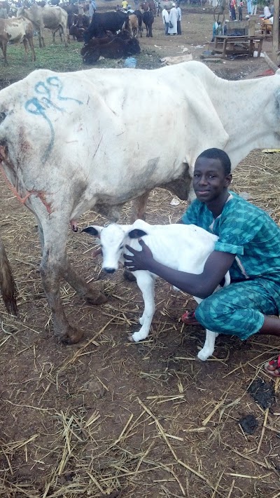 Photos of Beef Market
