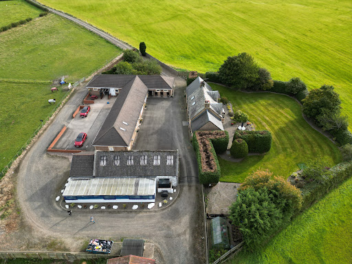Powside Cattery Gallery - United Kingdom