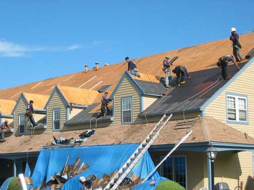 Next Roofing - Visual