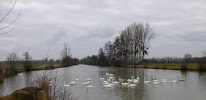 Les Pêcheurs Bellocéens à Beaulieu-sur-Loire