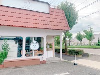 ぱんとねことごはん