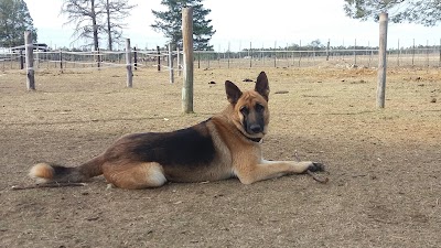 Photos of Black Horse Trails