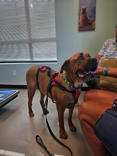 Pickaroon Animal Hospital