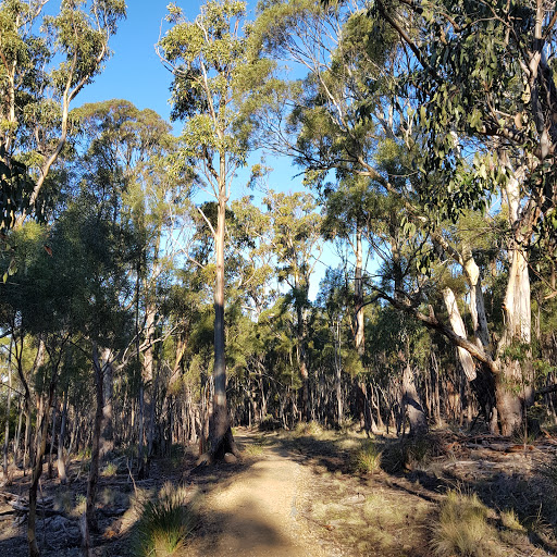 Knocklofty Reserve - Thumbnail