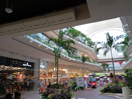 Plaza Punta Alegria