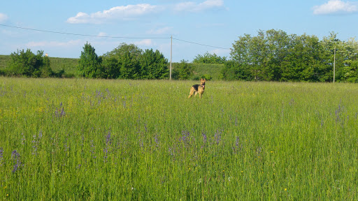 Piave - Visual