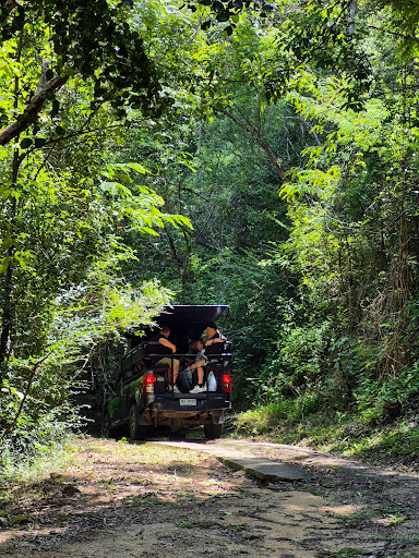 Jungle Safari Tour