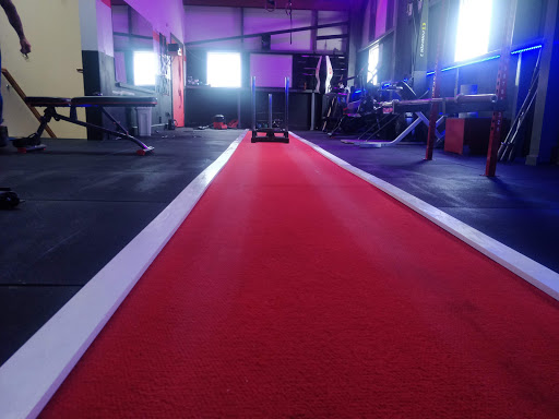 HMQ Fitness - Thumbnail