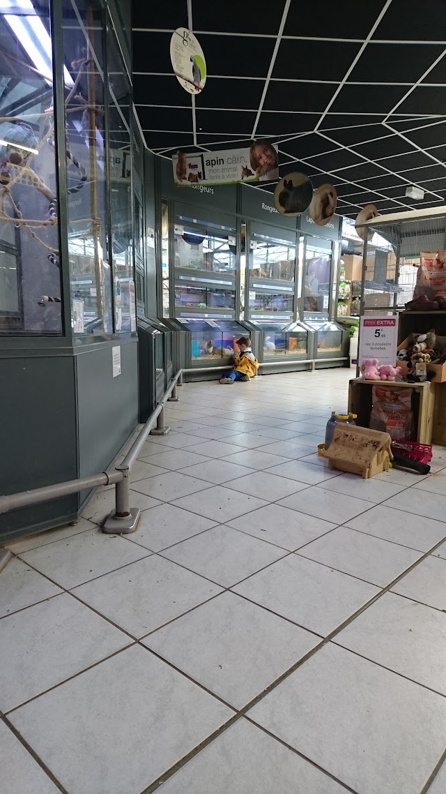 Truffaut