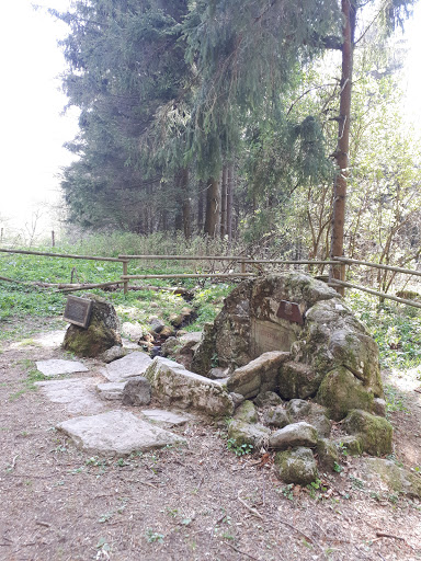Lütterquelle - Visual
