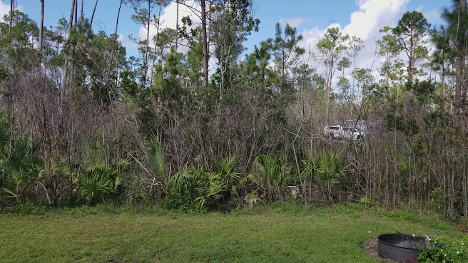 Long Pine Key Campground by null