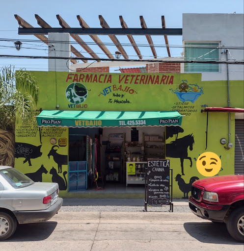 Vet Bajio