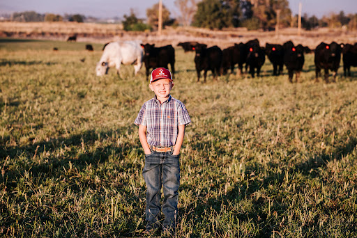 Ickes Beef - Visual