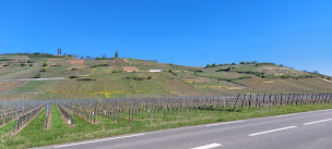 Photo n°32 de Gîtes Au Vigneron de Sigo à Kaysersberg Vignoble (Gîte)