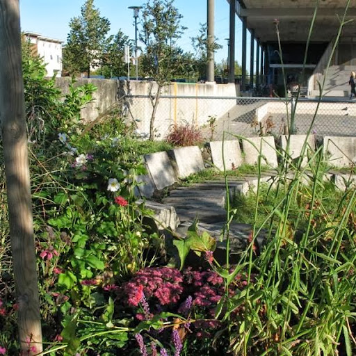 Public Elementary School De Vogels