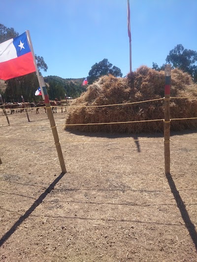 Photos of Estadio Navidad