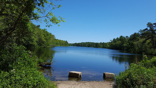 Wildlands Trust - Halfway Pond Conservation Area - Thumbnail