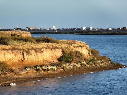 Bolsa Chica Conservancy - Thumbnail