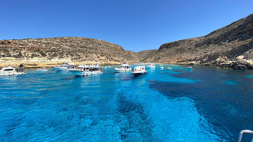 Moondancer lampedusa - Thumbnail