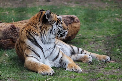 Photos of Franklin Park Zoo