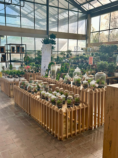 Viridea Garden Center Montebello della Battaglia (PV) - Thumbnail