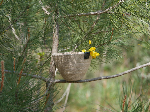 Photo de Poterie du Ternet à Sanguinet (40460)