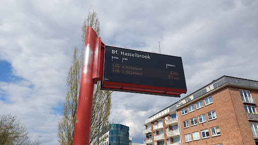 Bf. Hasselbrook - Visual