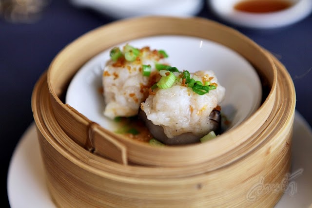Bai Yun