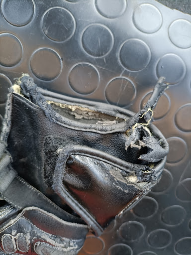 Andromeda Moto - Visual