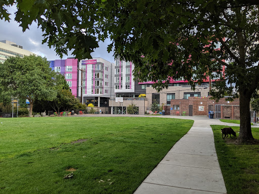 Cascade Playground - Visual