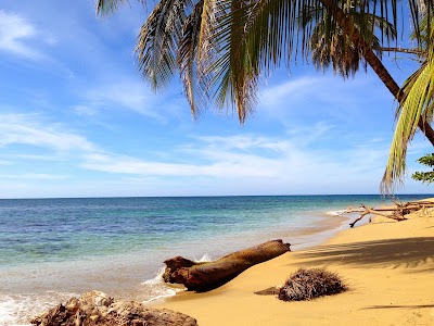 Photos of Physis Caribbean Bed & Breakfast Hotel