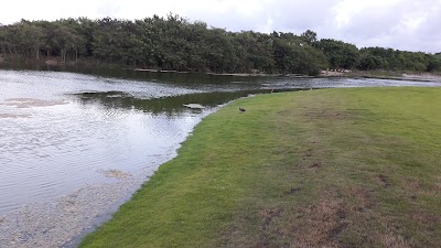 Photos of Cana Bay Golf course