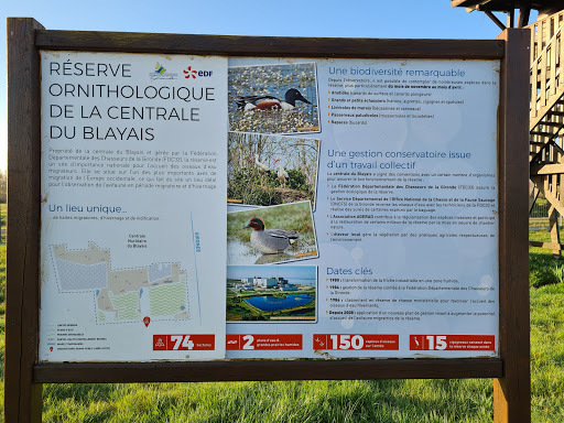 Observatoire ornithologique de la Centrale du Blayais - Thumbnail